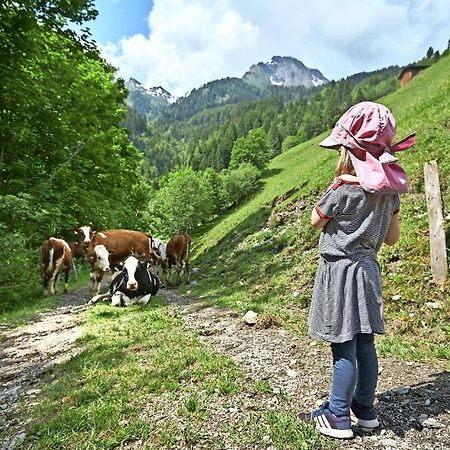 Bed And Breakfast - Die Aelplersuit Fuer Backpackers Im Berghuesli Linthal Esterno foto