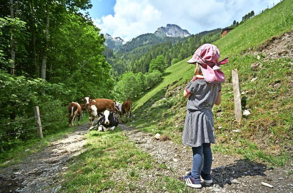 Bed And Breakfast - Die Aelplersuit Fuer Backpackers Im Berghuesli Linthal Esterno foto