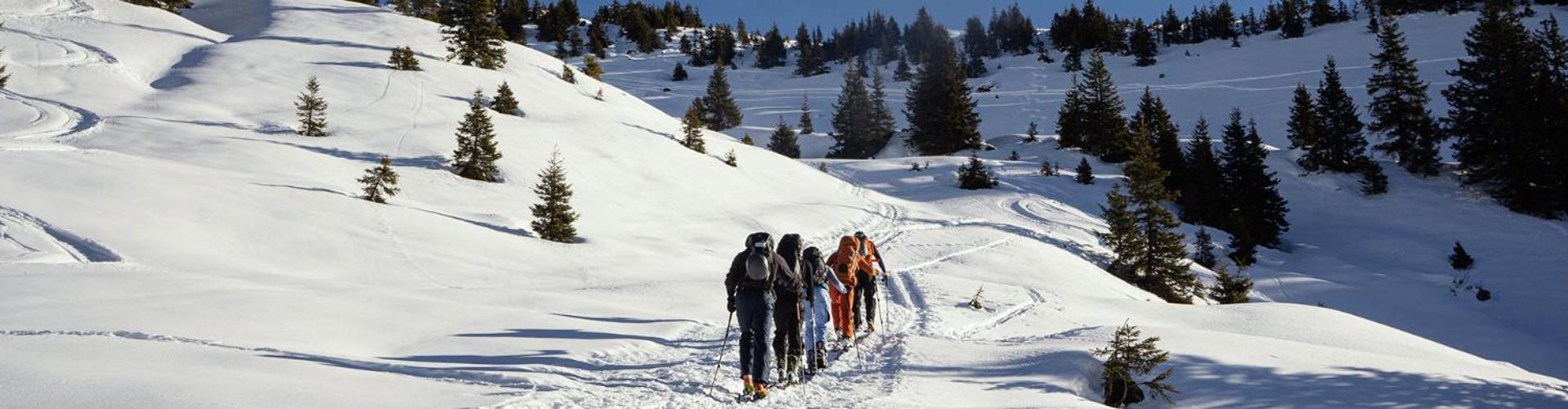 Bed And Breakfast - Die Aelplersuit Fuer Backpackers Im Berghuesli Linthal Esterno foto